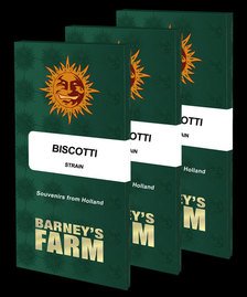 Barney’s Farm - Biscotti Strain