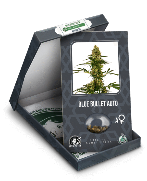 Sensi Seeds - Blue Bullet Automatic