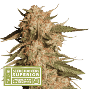 Seed Stockers - Blue Moby® Auto