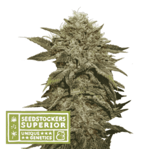 Seed Stockers - Fruit Cake® Fem