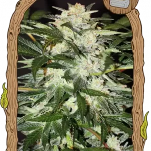 Exotic Seeds - Monster Mash
