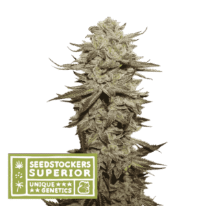 Seed Stockers - Sticky Fingers® Auto