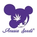 anesia