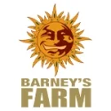barneys