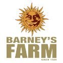 barneys