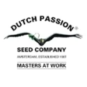 dutch