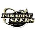 paradiseseeds